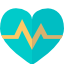 heart-electrocardiogram